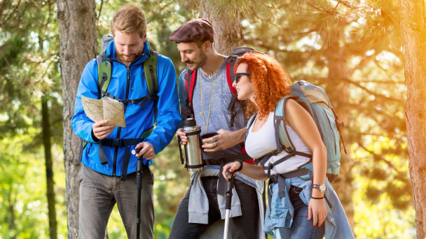 como viajar con amigos